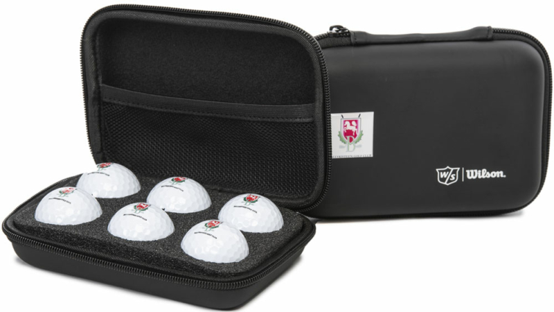 Wilson “DUO Soft” 6 Ball Logo Case…SPECIAL OFFER!